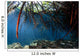 Mangrove Roots Casa Cenote Wall Decal