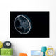 Moon Jellyfish Aurelia Aurita Wall Decal Design 1