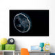 Moon Jellyfish Aurelia Aurita Wall Decal Design 1