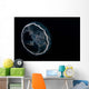 Moon Jellyfish Aurelia Aurita Wall Decal Design 1