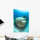 Sunken Car Caribbean Sea Wall Decal