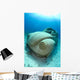 Sunken Car Caribbean Sea Wall Decal
