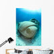 Sunken Car Caribbean Sea Wall Decal