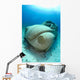 Sunken Car Caribbean Sea Wall Decal