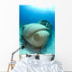 Sunken Car Caribbean Sea Wall Decal