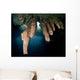 Surface Cenote 7 Bocas Wall Decal