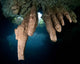Surface Cenote 7 Bocas Wall Decal