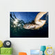 Green Sea Turtle Chelonia Wall Decal Design 8