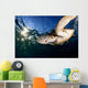 Green Sea Turtle Chelonia Wall Decal Design 8