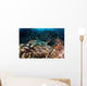 Banded Guitarfish Zapteryx Exasperata Wall Decal Design 2