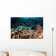Banded Guitarfish Zapteryx Exasperata Wall Decal Design 2