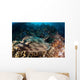 Banded Guitarfish Zapteryx Exasperata Wall Decal Design 2
