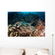 Banded Guitarfish Zapteryx Exasperata Wall Decal Design 2
