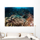 Banded Guitarfish Zapteryx Exasperata Wall Decal Design 2