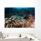 Banded Guitarfish Zapteryx Exasperata Wall Decal Design 2
