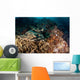 Banded Guitarfish Zapteryx Exasperata Wall Decal Design 1
