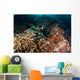 Banded Guitarfish Zapteryx Exasperata Wall Decal Design 1