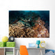 Banded Guitarfish Zapteryx Exasperata Wall Decal Design 1