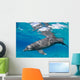 Bottlenose Dolphin Tursiops Truncatus Wall Decal Design 2