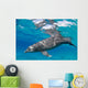 Bottlenose Dolphin Tursiops Truncatus Wall Decal Design 2