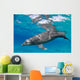 Bottlenose Dolphin Tursiops Truncatus Wall Decal Design 2