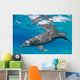 Bottlenose Dolphin Tursiops Truncatus Wall Decal Design 2