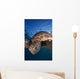 Green Sea Turtle Chelonia Wall Decal Design 7