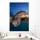 Green Sea Turtle Chelonia Wall Decal Design 7