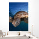 Green Sea Turtle Chelonia Wall Decal Design 7