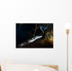 Moreleti Crocodile Crocodilus Moreleti Wall Decal Design 3