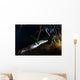 Moreleti Crocodile Crocodilus Moreleti Wall Decal Design 3