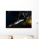 Moreleti Crocodile Crocodilus Moreleti Wall Decal Design 3