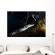 Moreleti Crocodile Crocodilus Moreleti Wall Decal Design 3