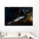 Moreleti Crocodile Crocodilus Moreleti Wall Decal Design 3