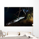 Moreleti Crocodile Crocodilus Moreleti Wall Decal Design 3