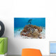 Bottlenose Dolphin Tursiops Truncatus Wall Decal Design 1