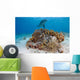 Bottlenose Dolphin Tursiops Truncatus Wall Decal Design 1