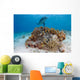 Bottlenose Dolphin Tursiops Truncatus Wall Decal Design 1