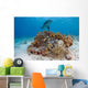 Bottlenose Dolphin Tursiops Truncatus Wall Decal Design 1