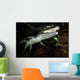 Moreleti Crocodile Crocodilus Moreleti Wall Decal Design 2