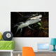 Moreleti Crocodile Crocodilus Moreleti Wall Decal Design 2