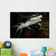 Moreleti Crocodile Crocodilus Moreleti Wall Decal Design 2