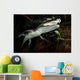 Moreleti Crocodile Crocodilus Moreleti Wall Decal Design 2