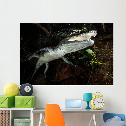 Moreleti Crocodile Crocodilus Moreleti Wall Decal Design 2