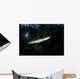 Moreleti Crocodile Crocodilus Moreleti Wall Decal Design 1