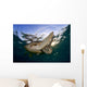 Green Sea Turtle Chelonia Wall Decal Design 6