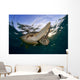 Green Sea Turtle Chelonia Wall Decal Design 6