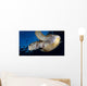 Green Sea Turtle Chelonia Wall Decal Design 5