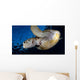 Green Sea Turtle Chelonia Wall Decal Design 5