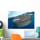 Whale Shark Rhincodon Typus Wall Decal